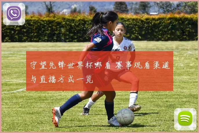 守望先锋世界杯哪看 赛事观看渠道与直播方式一览