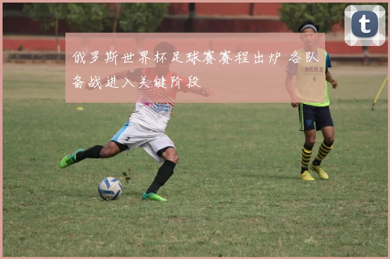 俄罗斯世界杯足球赛赛程出炉 各队备战进入关键阶段