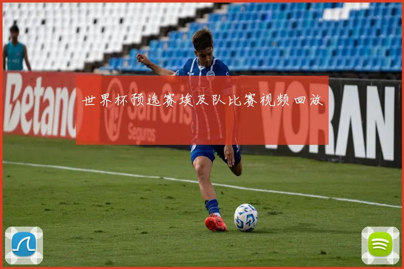 世界杯预选赛埃及队比赛视频回放