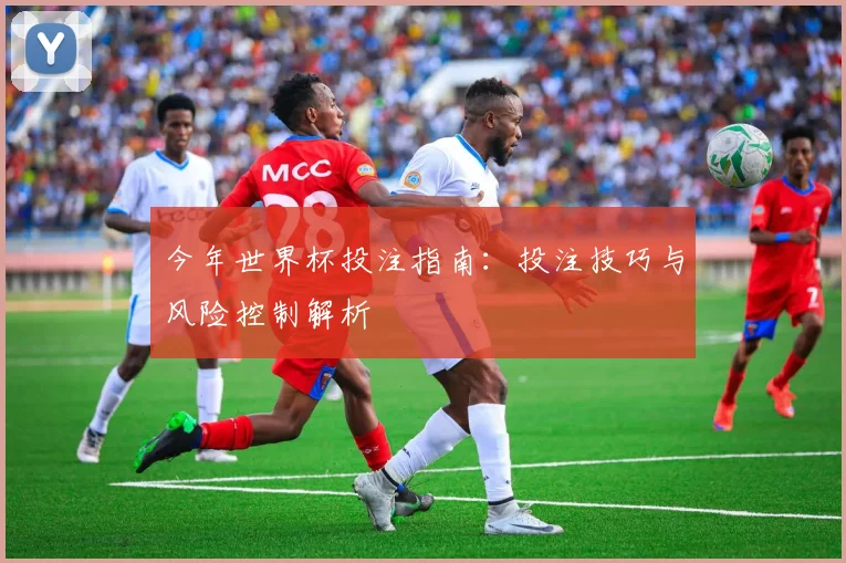 今年世界杯投注指南：投注技巧与风险控制解析