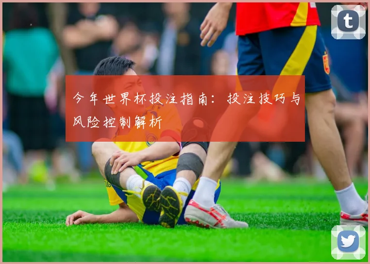 今年世界杯投注指南：投注技巧与风险控制解析