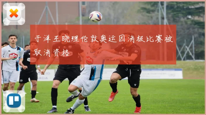 于洋王晓理伦敦奥运因消极比赛被取消资格