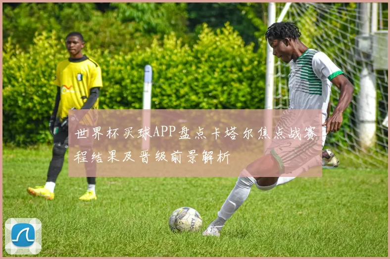 世界杯买球APP盘点卡塔尔焦点战赛程结果及晋级前景解析