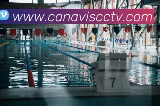 新爱体育app官网APP 封面图